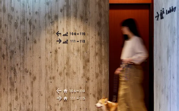 深圳vi設(shè)計作品案例展示